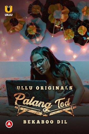 Palang Tod ( Bekaboo Dil )
